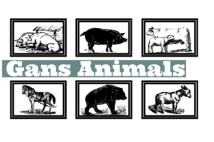 Gans Animals: A Playful Typeface for Creative Projects