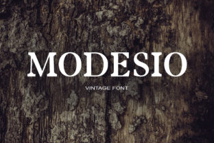 Modesio: A Serif Font That Brings Crafted Elegance to Life