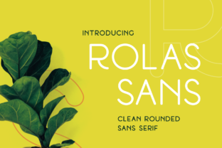 Rolas Sans: A Premium Font for Editorial Design