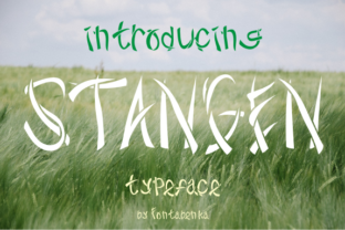 Stangen Font: A Decorative Typeface for Creative Makers
